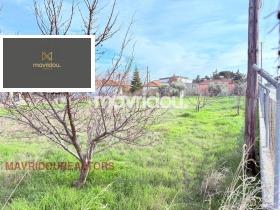 ������� ������ | Imot.bg � ����� ������ 11