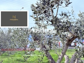 ������� ������ | Imot.bg � ����� ������ 8