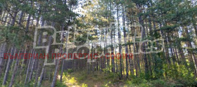������� ������ | Imot.bg � ����� ������ 1
