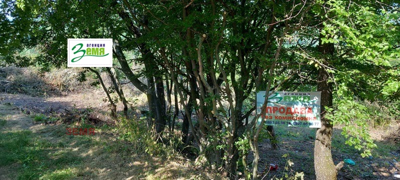 Προς πώληση  Οικόπεδο Σταρα Ζαγορα , Ζελεζνηκ - τσενταρ , 1272 τ.μ | 95672532