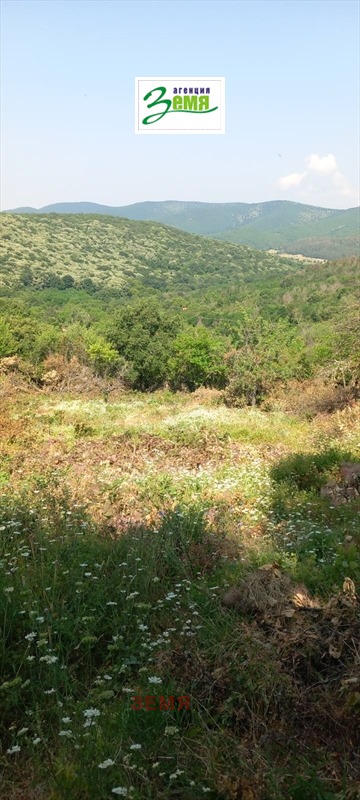 Προς πώληση  Οικόπεδο Σταρα Ζαγορα , Ζελεζνηκ - τσενταρ , 1272 τ.μ | 95672532 - εικόνα [7]