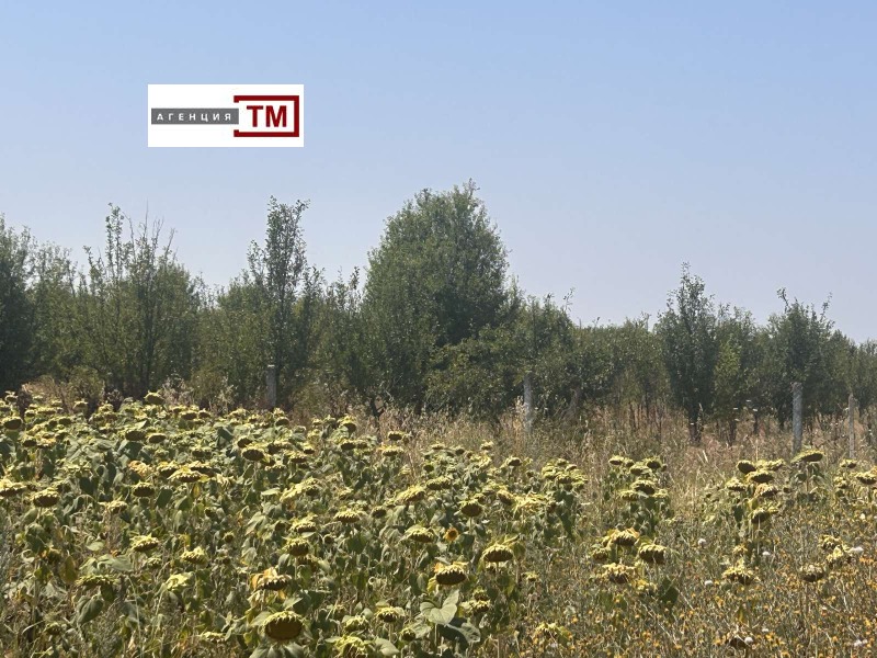 Продается  Земля область Стара Загора , Средец , 16 дка | 62837898 - изображение [2]