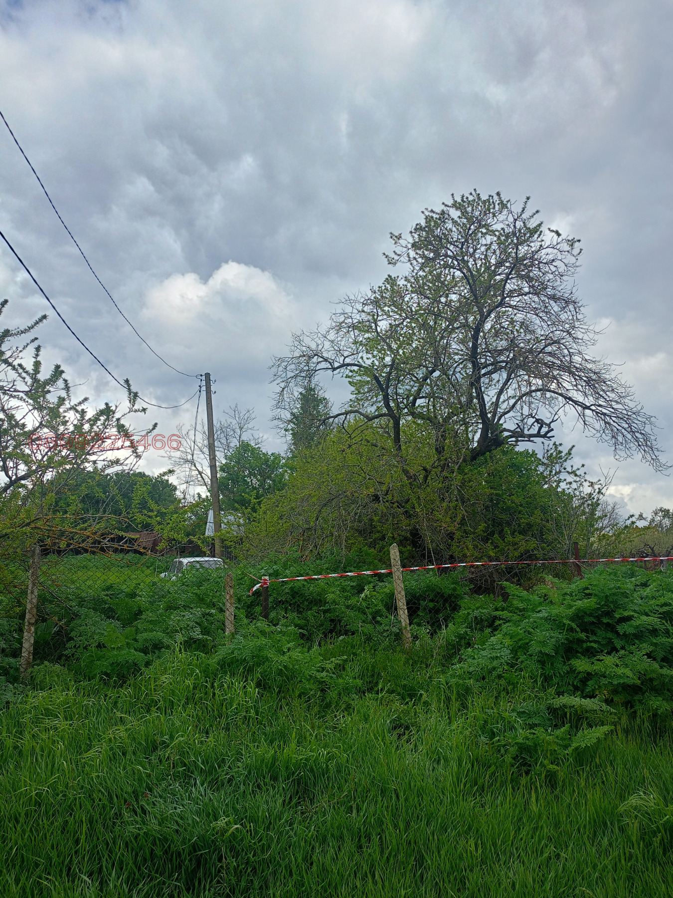 Продава ПАРЦЕЛ, с. Славеево, област Добрич, снимка 2 - Парцели - 54397034