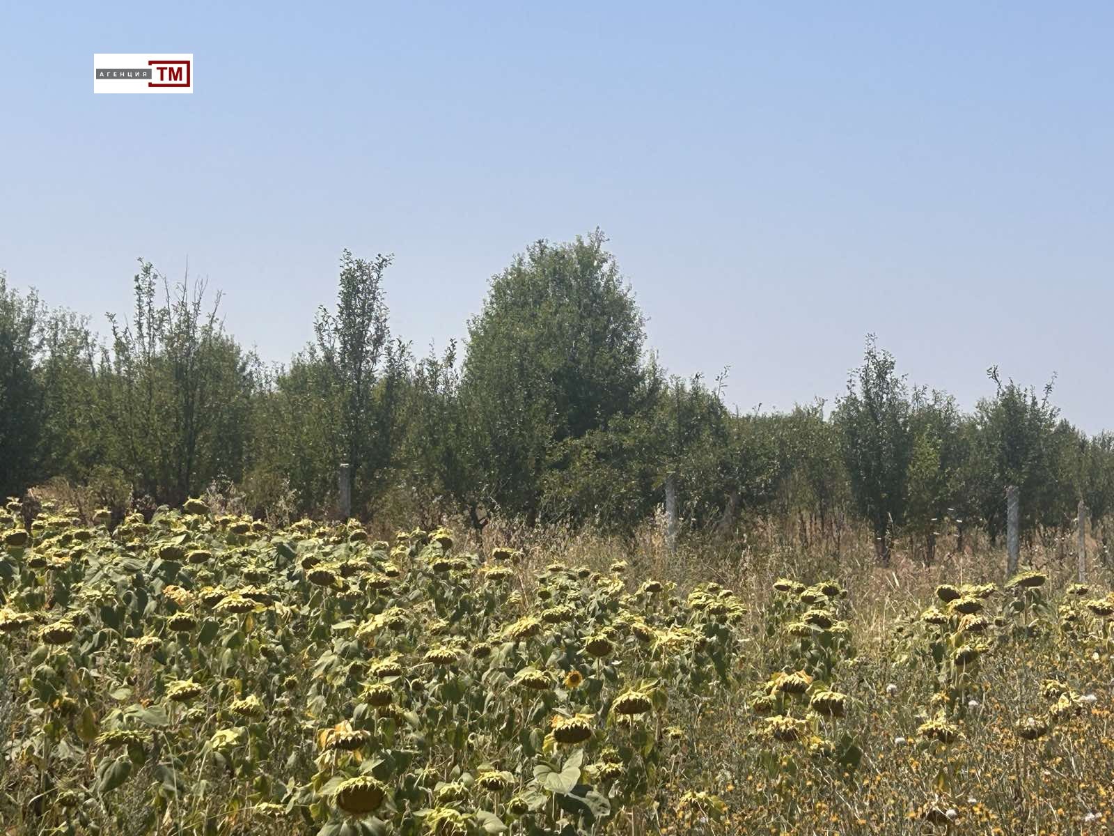 Продава ЗЕМЕДЕЛСКА ЗЕМЯ, с. Средец, област Стара Загора, снимка 2 - Земеделска земя - 53680765