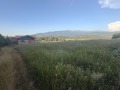 Продава ПАРЦЕЛ, с. Студена, област Перник, снимка 1