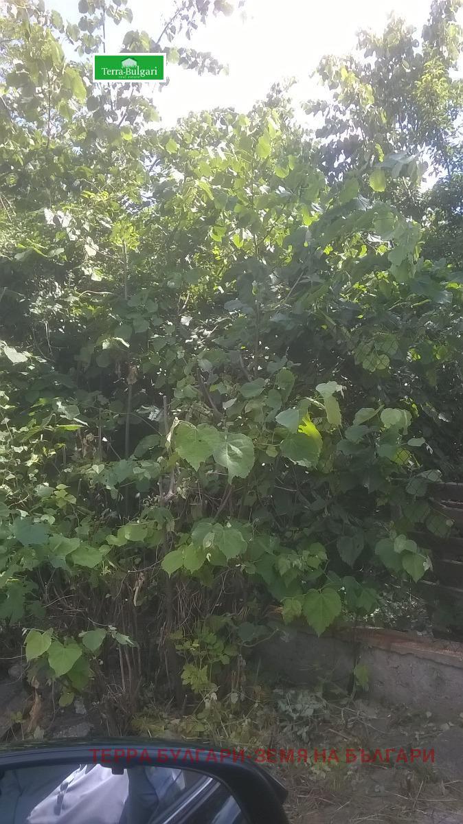 Продава КЪЩА | Imot.bg — изображение 3