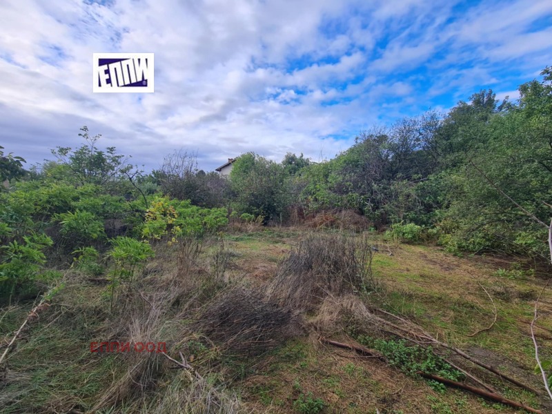 Продава КЪЩА, с. Пищигово, област Пазарджик, снимка 2 - Къщи - 52227126