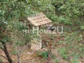 Продава КЪЩА, с. Томпсън, област София област, снимка 5