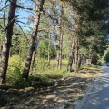 Продава ПАРЦЕЛ, м-т Цигов чарк, област Пазарджик, снимка 2