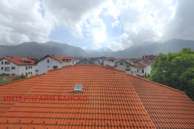 Studie Bansko, region Blagoevgrad 6