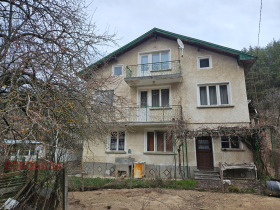 ������ ������� ����