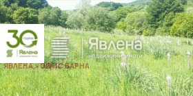 Парцел с. Цонево, област Варна 1