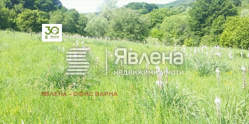 Продава ПАРЦЕЛ, с. Цонево, област Варна, снимка 1 - Парцели - 47428028