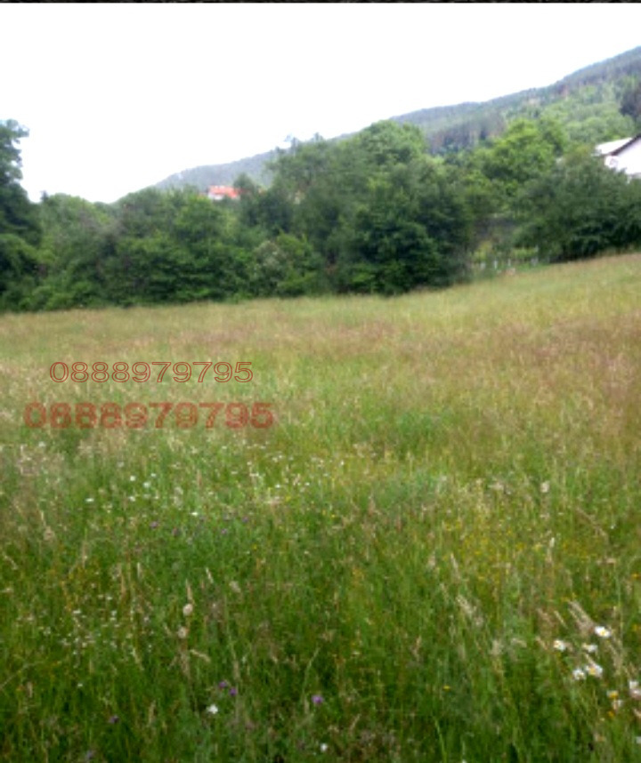 Продава ЗЕМЕДЕЛСКА ЗЕМЯ, с. Грамаждано, област Кюстендил, снимка 2 - Земеделска земя - 52780499