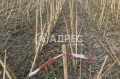 Продава ПАРЦЕЛ, с. Пролеша, област София област, снимка 3