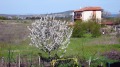 Продава  Къща област Бургас , гр. Черноморец , 280 кв.м | 62253600 - изображение [4]
