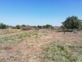 Продава ПАРЦЕЛ, област Добрич, с. Божурец • 95000 € • 92979259 — Holmes.bg