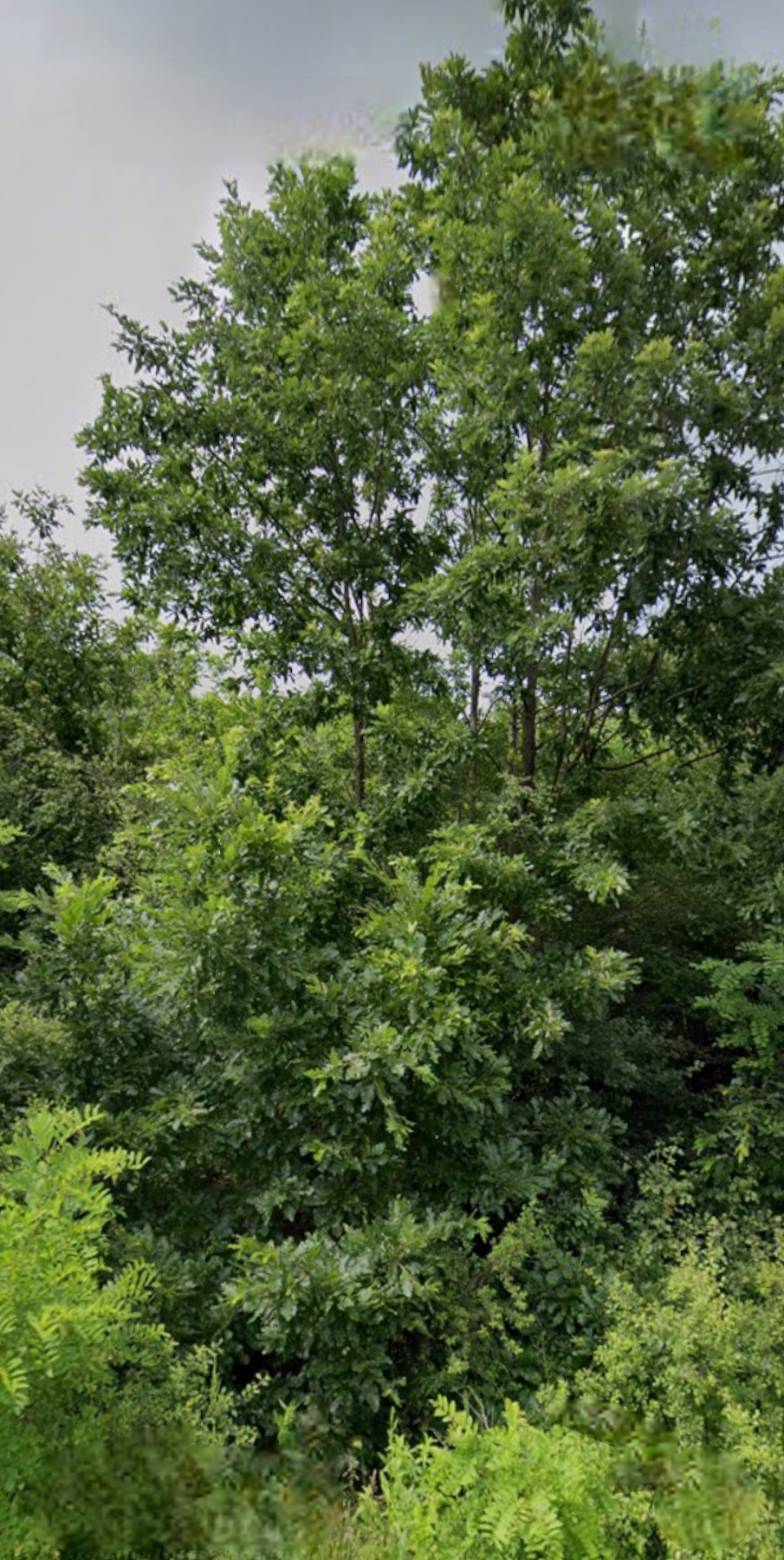 ������� ���������� ���� | Imot.bg � ����������� 1