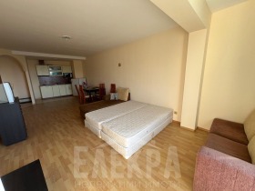 1 bedroom k.k. Zlatni pyasatsi, Varna 13