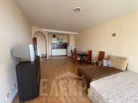 1 bedroom k.k. Zlatni pyasatsi, Varna 12