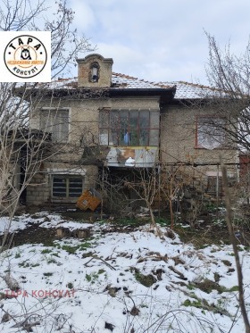 ����� ������� ����,�. ����������, ������ ������ �������