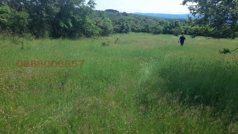 Продава ПАРЦЕЛ, гр. Драгоман, област София област, снимка 2 - Парцели - 53275940