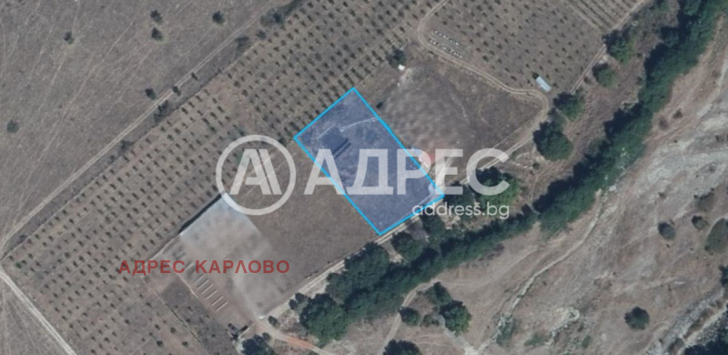 Продава  Земеделска земя област Пловдив , с. Васил Левски , 2 дка | 93208607