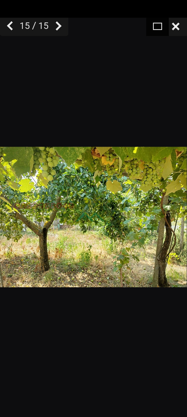 Продава КЪЩА, с. Господиново, област Варна, снимка 3 - Къщи - 52936668