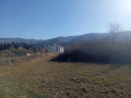 Продава ПАРЦЕЛ, с. Паталеница, област Пазарджик, снимка 3