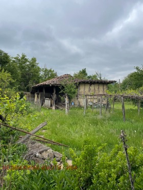 Hus Slivovica, region Veliko Tarnovo 12