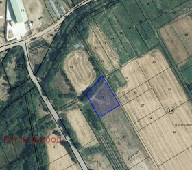 Продажба на земеделски земи в област Кюстендил - изображение 12 