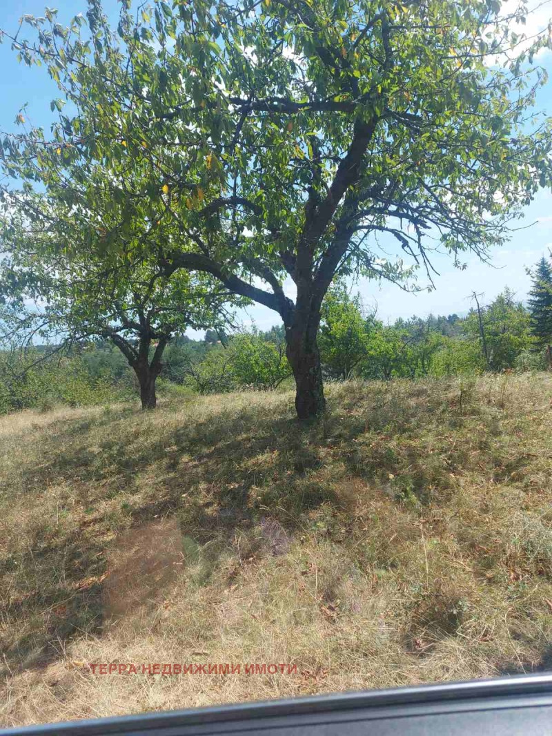 Προς πώληση  Οικόπεδο Σοφηια , Ποδγυμερ , 1380 τ.μ | 10947319 - εικόνα [5]