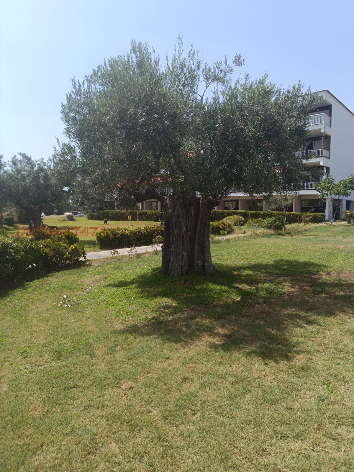 ������� ���� | Imot.bg � ����������� 3