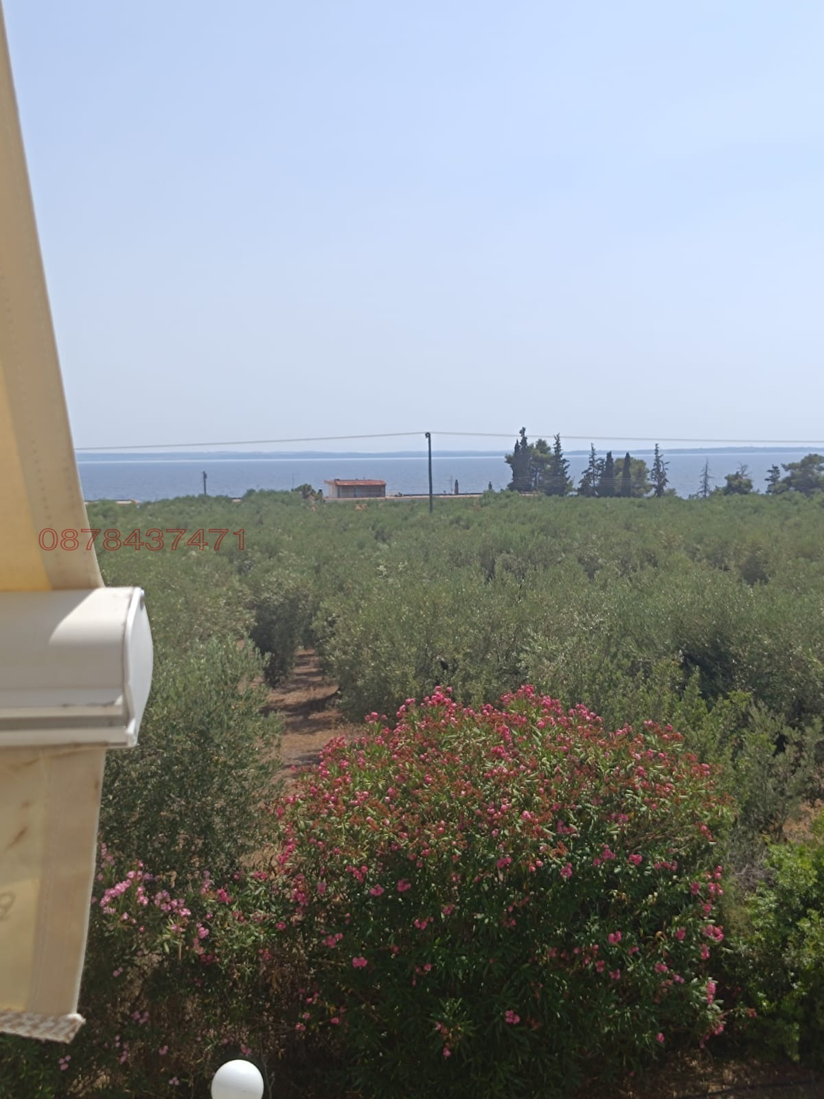 ������� ���� | Imot.bg � ����������� 11