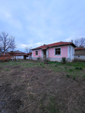 ����� ������� ����,���� �������, ������ ����������