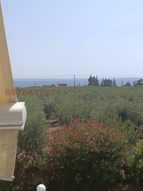 ������� ���� | Imot.bg � ����� ������ 11