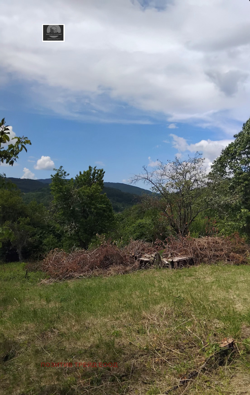 For Sale  House region Kyustendil , Eremiya , 85 sq.m | 10694550 - image [5]