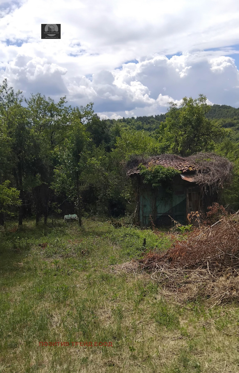 For Sale  House region Kyustendil , Eremiya , 85 sq.m | 10694550 - image [4]