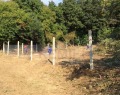 Продава ПАРЦЕЛ, гр. Варна, м-т Боровец - юг, снимка 1