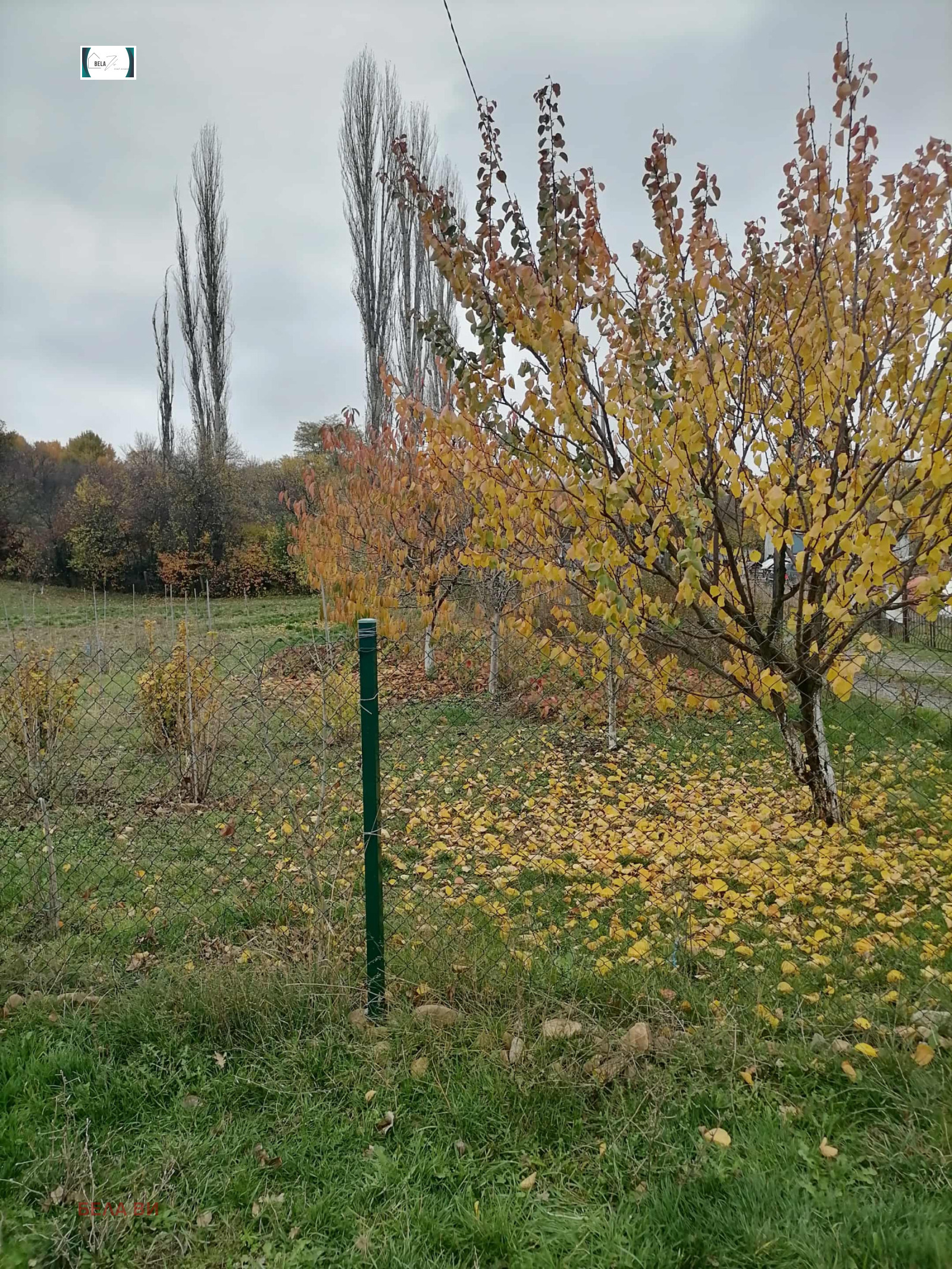 ������� ������ | Imot.bg � ����������� 3