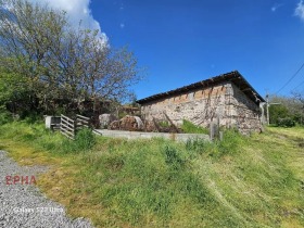 ������ ������� ����