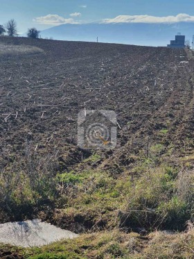 ����� ������� ������,���� �����, �. ��������