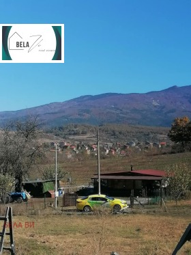 ����� ������� ������,���� ������, ������