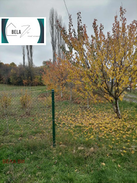 ����� ������� ������,���� ������, ������