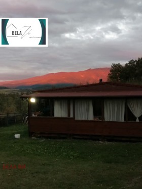 ����� ������� ������,���� ������, ������