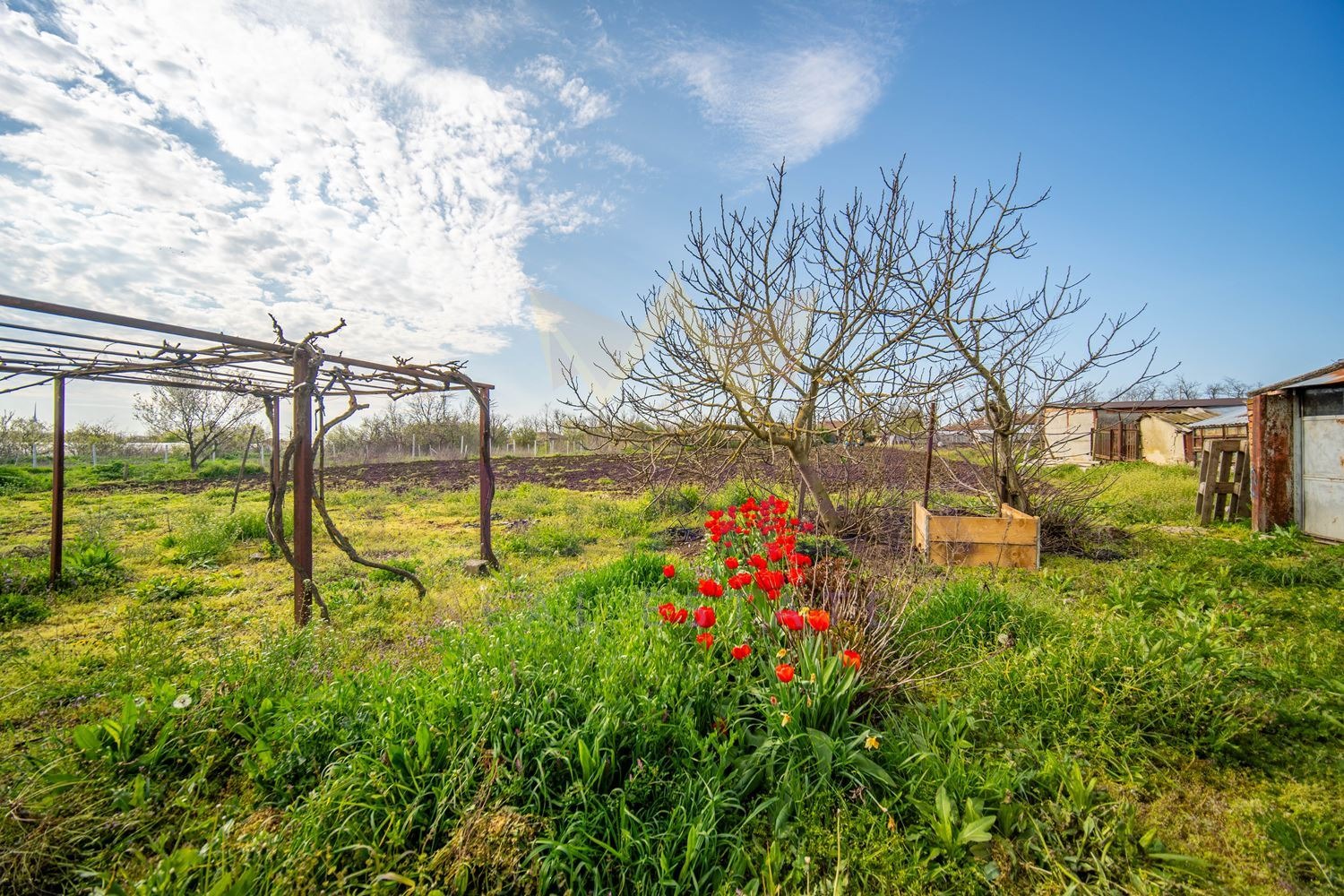 ������� ���� | Imot.bg � ����������� 15