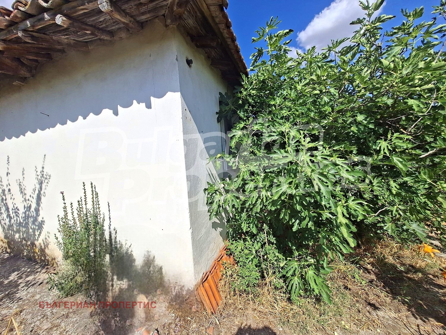 ������� ���� | Imot.bg � ����������� 2