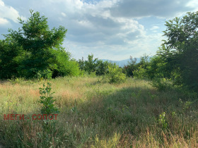 Продажба на имоти в гр. Сопот, област Пловдив — страница 3 - изображение 10 