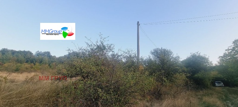 Zu verkaufen  Handlung region Sofia , Rosoman , 1221 qm | 19343312 - Bild [5]