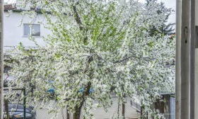 ������� 3-����� | Imot.bg � ����� ������ 11